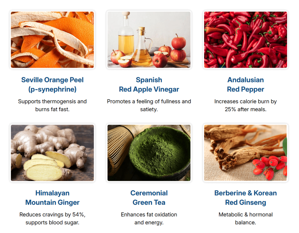 Infographic showing the natural ingredients and formula of CitrusBurn for energy and weight loss.