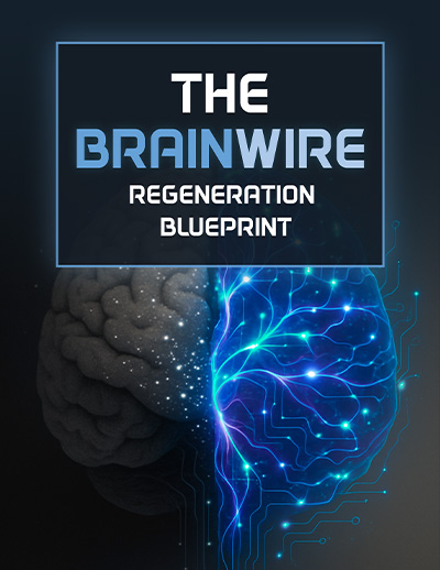Covers of Audifort bonus eBooks: Deep Sleep Activation Protocol and Brainwire Regeneration Blueprint.