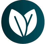 Audifort benefit icons indicating natural formula, easy-to-swallow capsules, and non-habit forming composition.